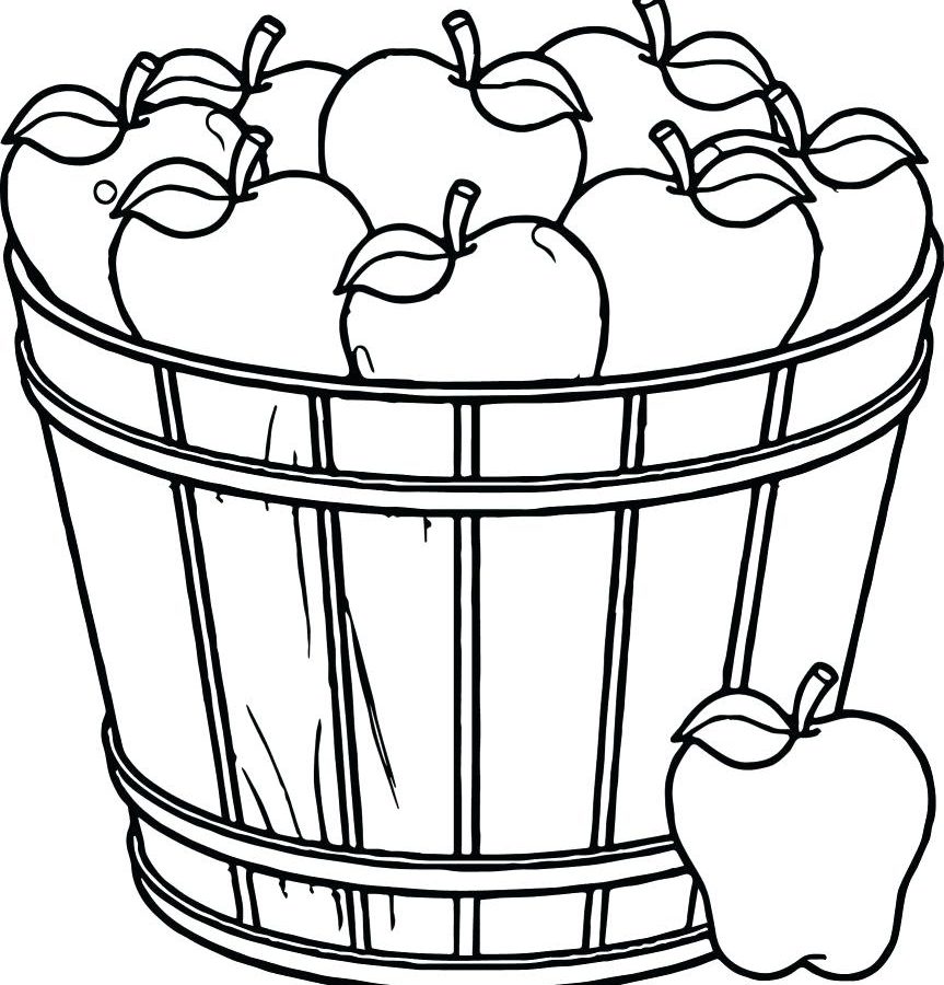 863x900 Food Basket Drawing At Getdrawings Com Free For Personal Use Apple