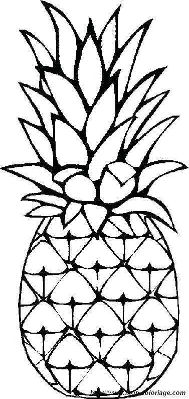377x794 Pine Apple Drawing Pineapple Drawing Simple