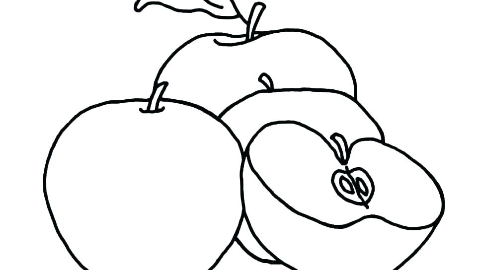 Apple Fruit Drawing | Free download on ClipArtMag