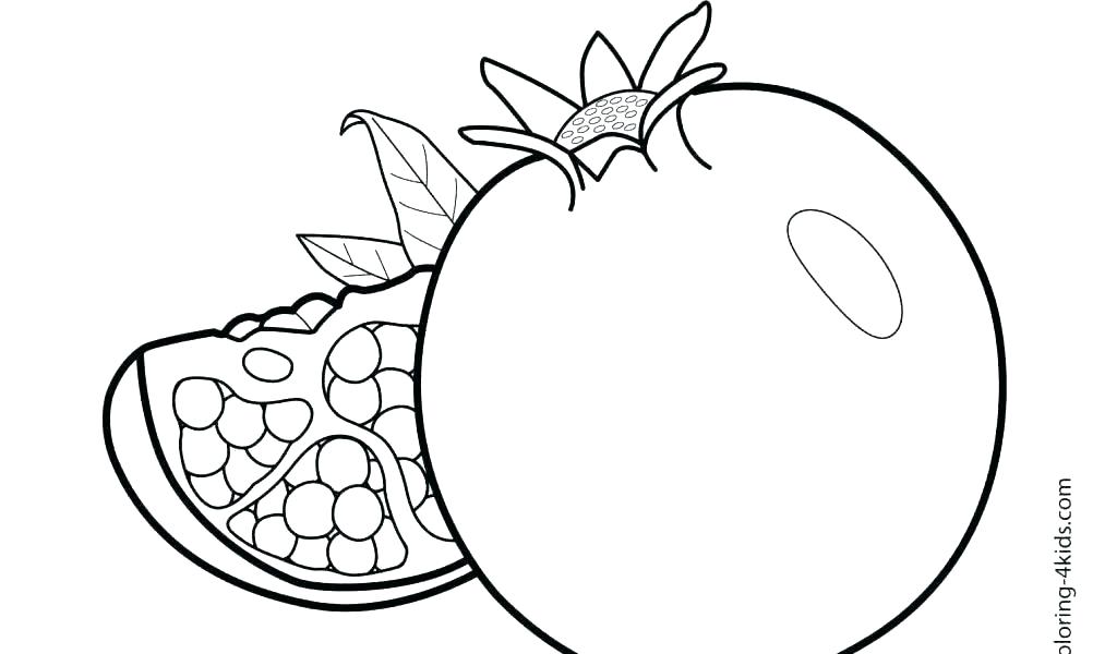 1024x600 Fruits Drawing White Centre Citrus Fruits Apple Fruit Drawing