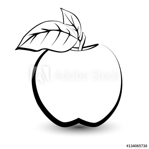 500x500 Outline Sketch Monochrome Apple Black And White Elegant Contour