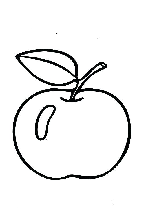 542x720 Apple Fruit Drawing An Apple Clip Art Custard Apple Fruit Drawing