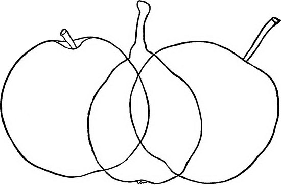 550x363 Apple And Pear Fruit Culturist Line Drawing, Posters