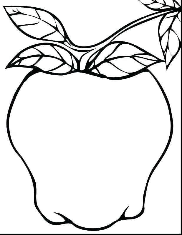 618x800 Coloring Pages Apple Line Drawing Of At Free For Personal Use