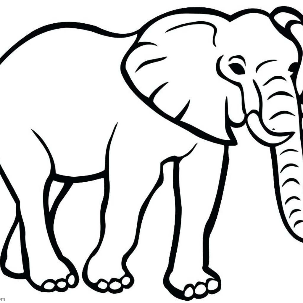 1024x1024 Elephant Outline Drawing Apple Clipart House Clipart Online Download