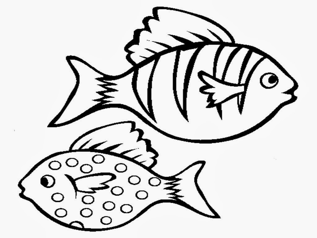 1024x768 Aquarium Fish Coloring Pages Elegant Lovely Fish Tank Drawing