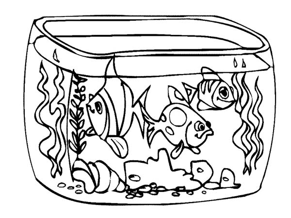 600x450 Drawing Of Fish Tank