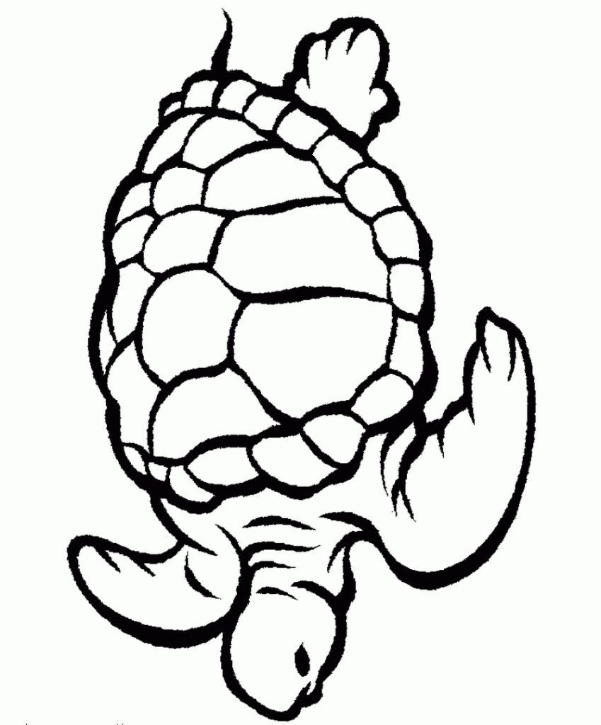 849x1024 Free Coloring Pages Aquarium Ocean Animal Printable Sea