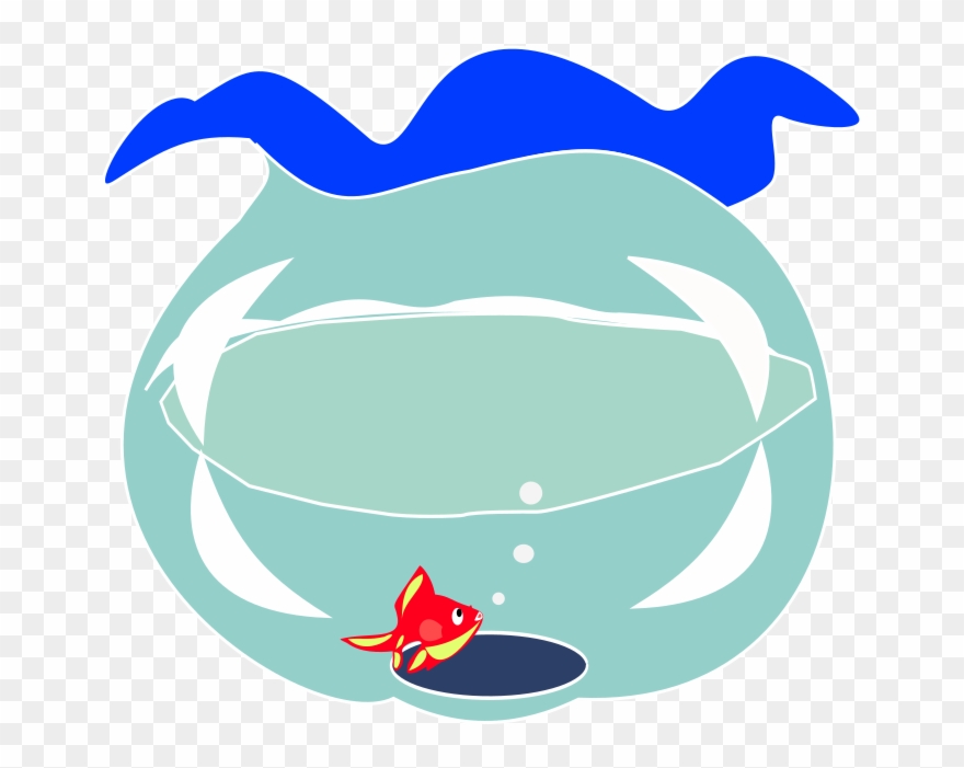 880x701 Goldfish Computer Icons Aquarium Line Art Drawing