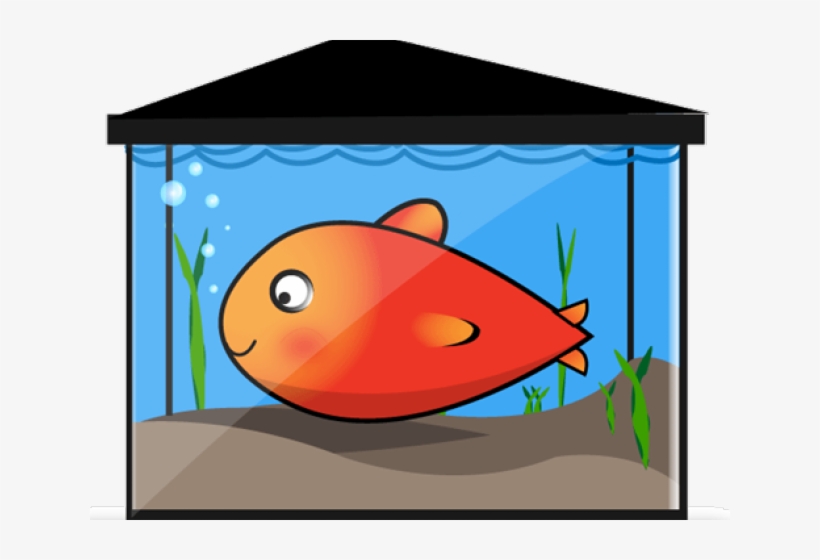 820x560 Graphic Black And White Stock Aquarium Drawing Unbelievable