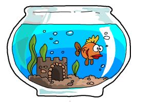 300x200 How To Draw Aquarium