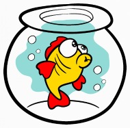 190x187 Aquarium Aquaristic Fish Iphone X Case Spreadshirt