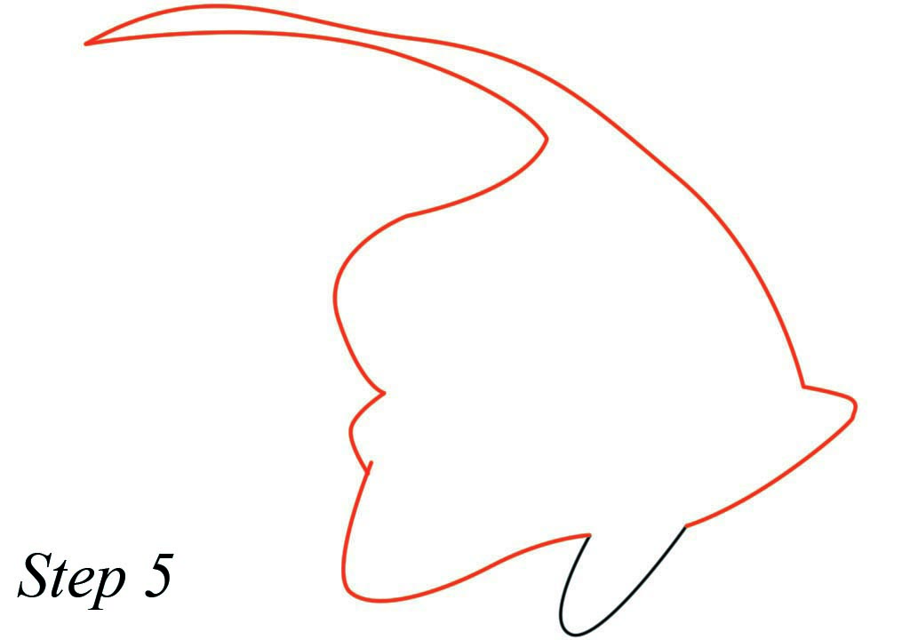 1024x720 Pet Fish Beautiful Freshwater Aquarium Fish Drawing