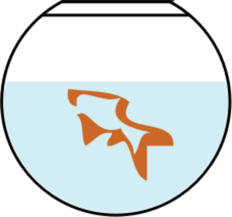 800x750 Aquarium Drawing Animal Huge Freebie! Download For Powerpoint