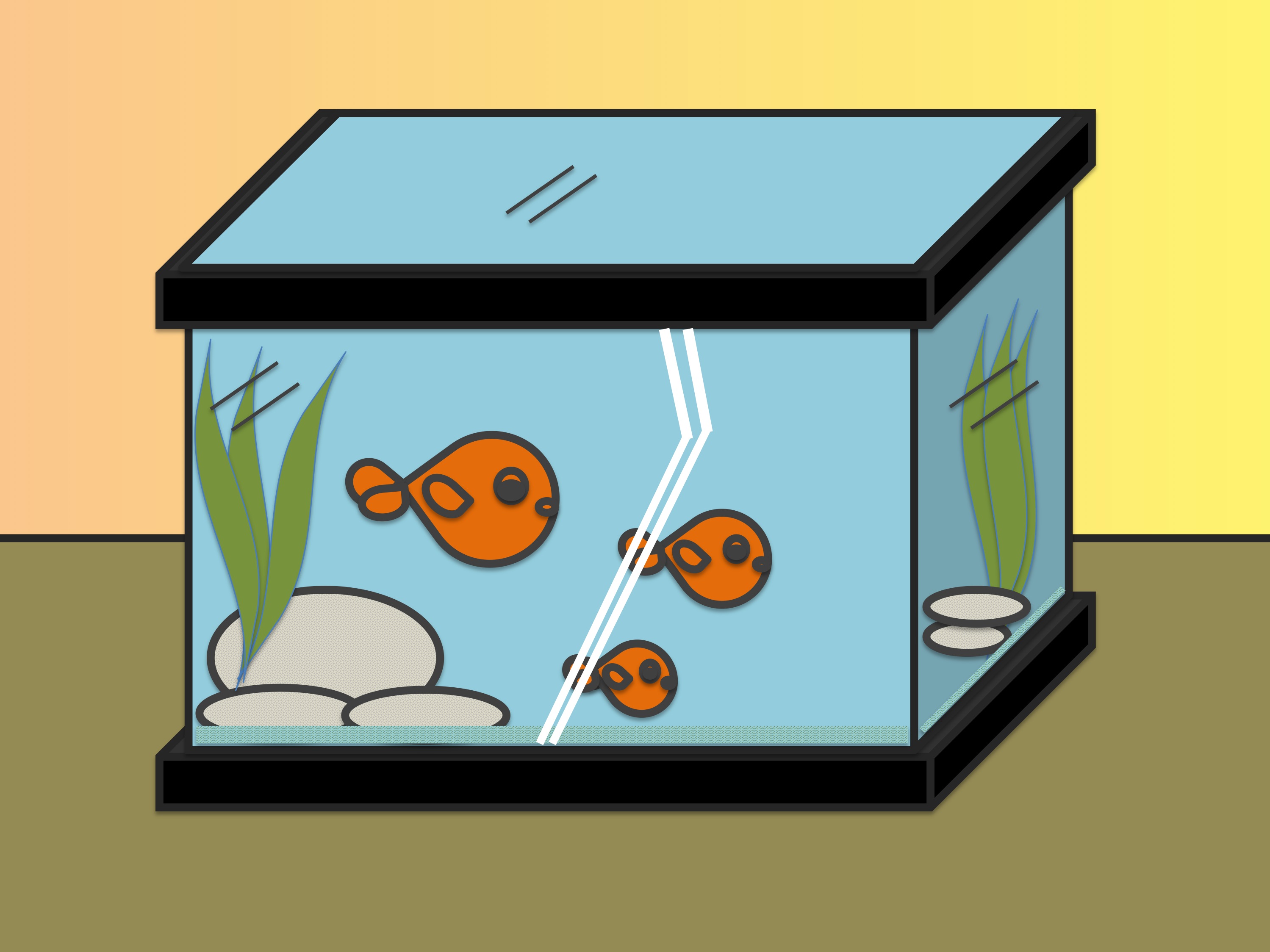 2998x2248 How To Draw Fish In A Fish Tank Steps