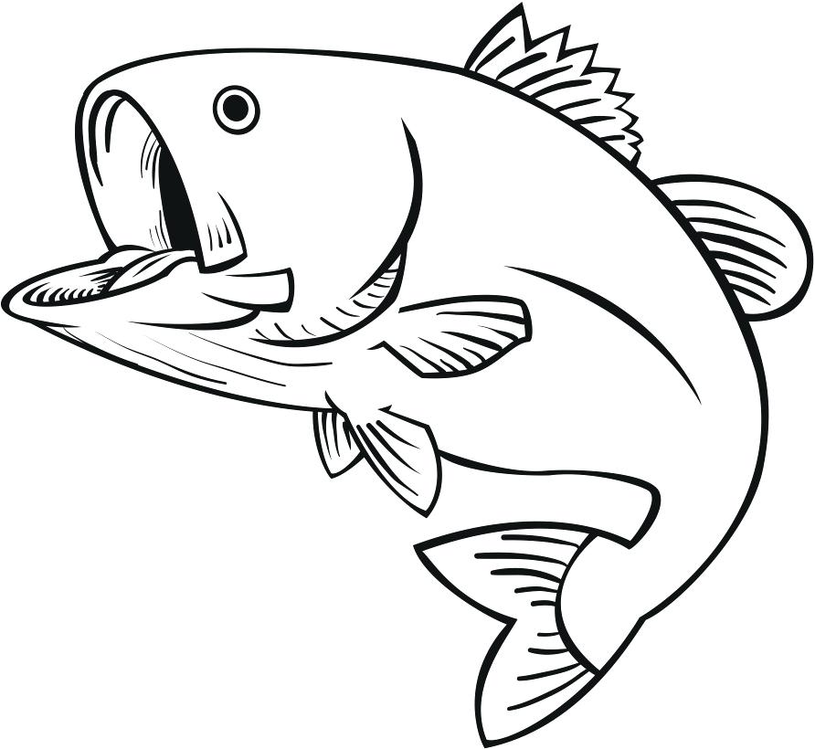 892x820 Simple Fish To Draw Aquarium Fish Image Gallery Learn How To Draw