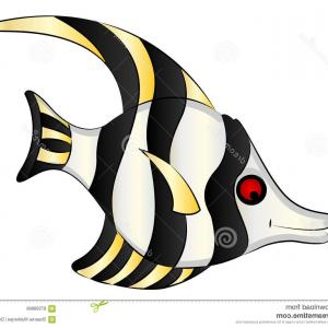 300x300 Stock Illustration Barb Aquarium Fish Illustration Clip Art Vector