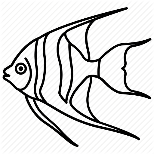 512x512 Angel, Angelfish, Aquarium, Fish, Reef, Tank, Tropical Icon