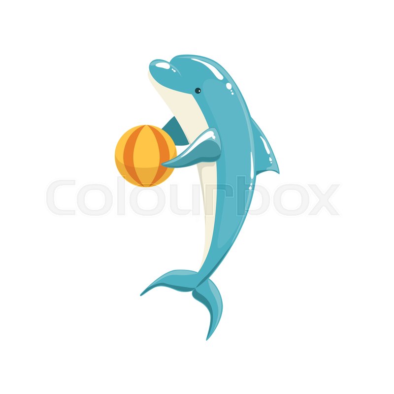 800x800 Blue Bottlenose Dolphin Holding Ball Stock Vector Colourbox