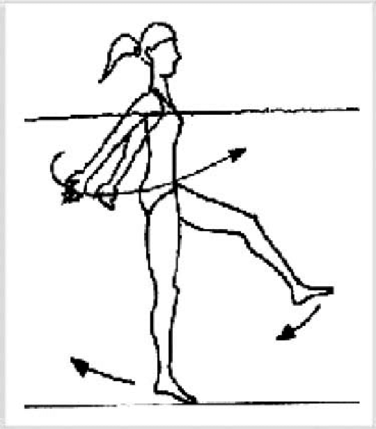 540x616 Illustration Of The Basic Aquatic Exercise The Rocking Horse