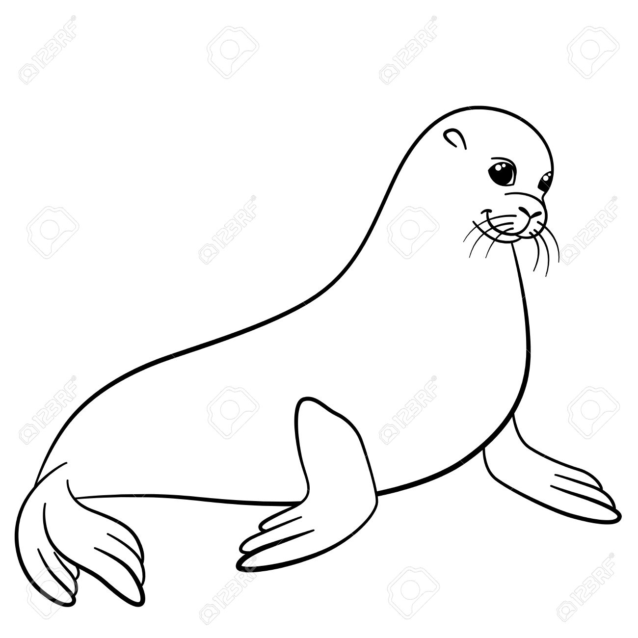 1300x1300 Seal Drawing Aquatic Animal For Free Download