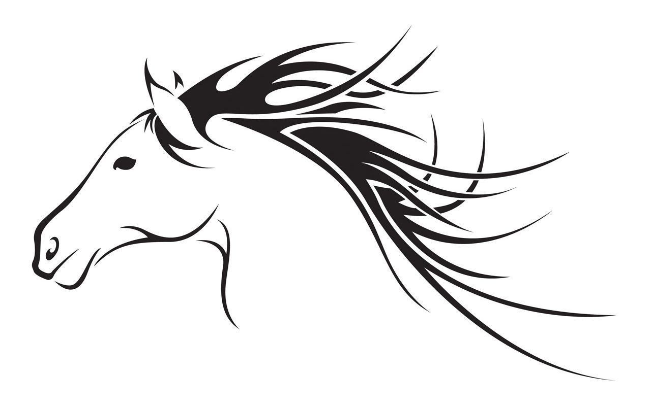 1280x804 Arabian Horse Head Clip Art Images Image