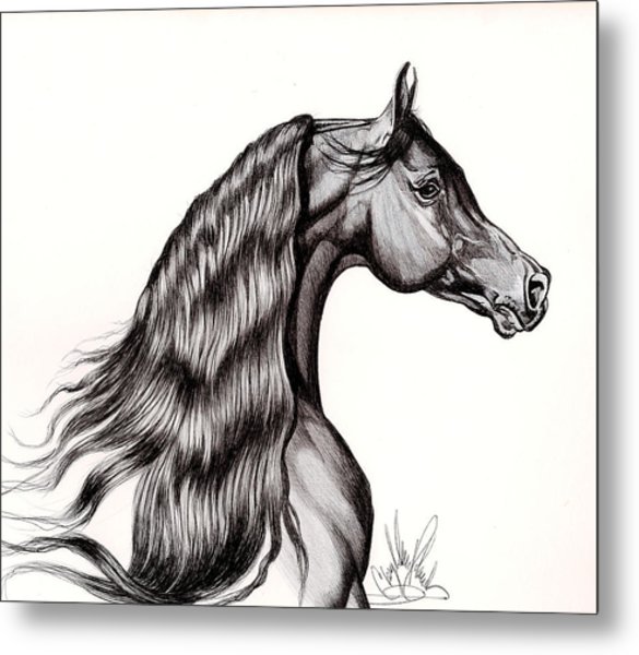 585x600 Black Arabian Head View From Right Drawing