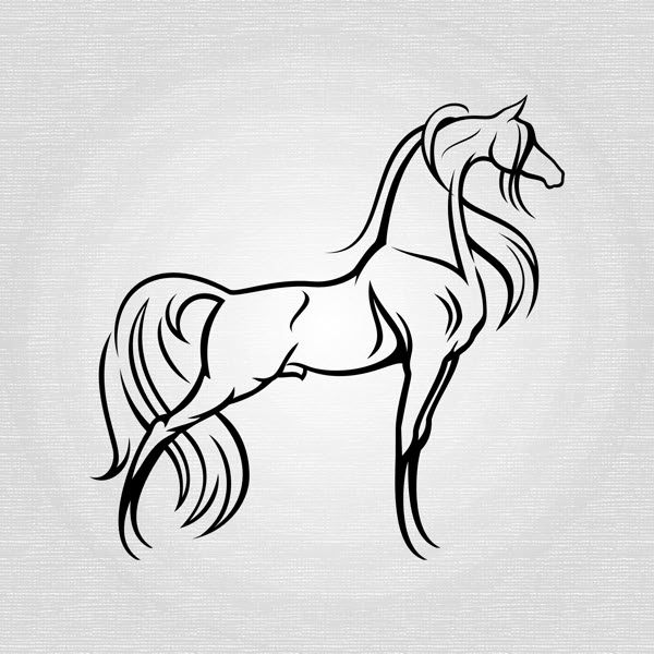 600x600 Elegant Stallion