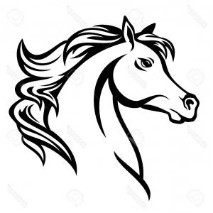 300x300 Photostock Vector Arabian Horse Profile Head Black And White