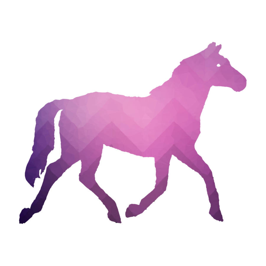 900x900 Silhouette, Illustration, Horse, Transparent Png Image Clipart
