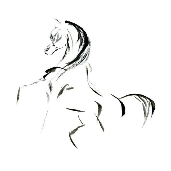 570x570 Arabian Horse Art, Minimalist Horse Art Print, Abstract Horse Art