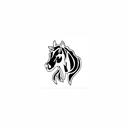 500x500 Arabian Horse Head Vinyl Decal