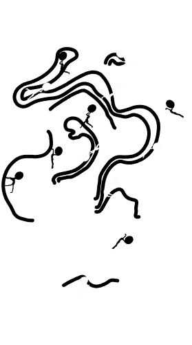 279x499 Kirkwood Print Plus Sketches Arabic