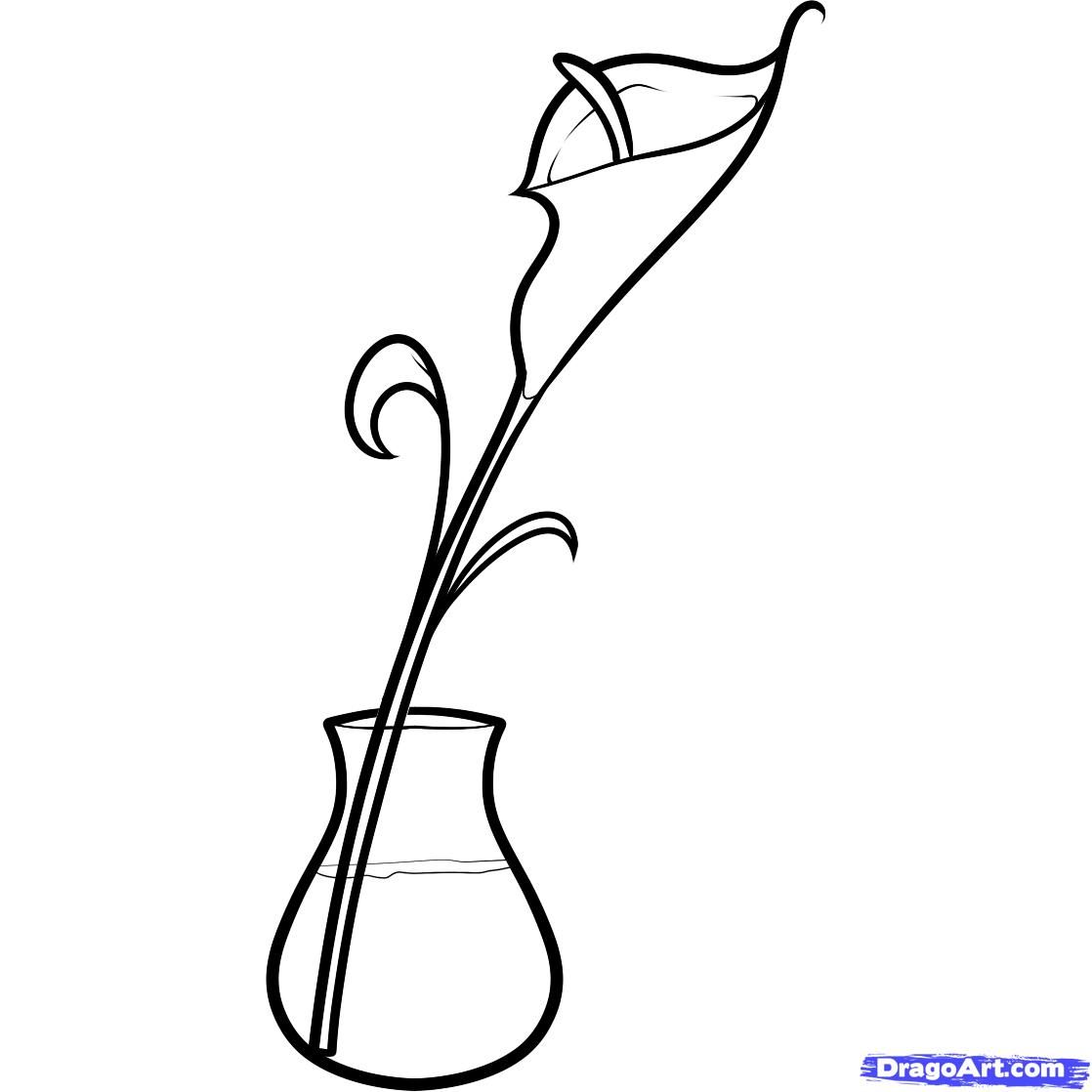 1118x1118 Calla Lilies Drawing How To Ltbgtdrawltgt A Ltbgtcalla Lilyltgt, Step