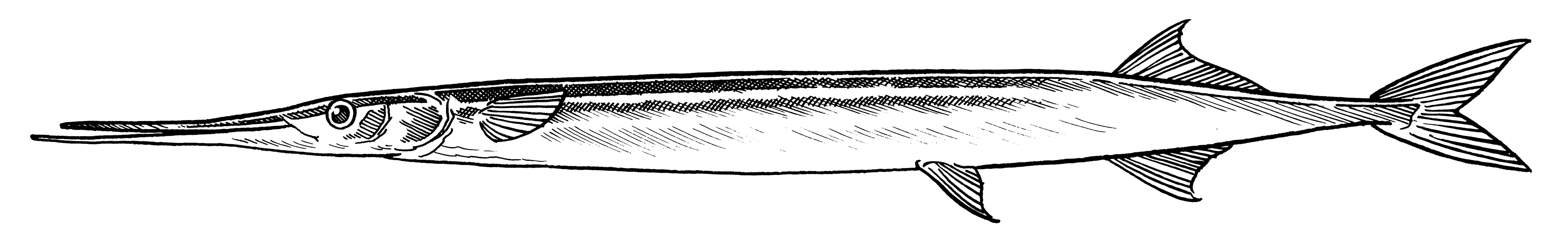 3287x529 Frederikssund Museum