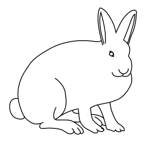 Arctic Hare Drawing | Free download on ClipArtMag