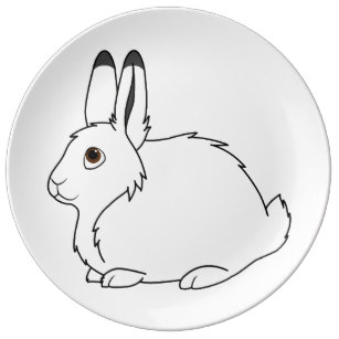 307x307 Arctic Hare Kitchen Dining Supplies Zazzle