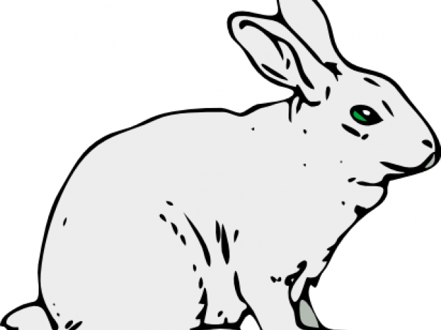640x480 Free Arctic Hare Clipart, Download Free Clip Art
