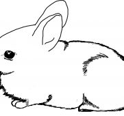 181x170 Free Arctic Hare Cliparts Download Clip Art On Nice Coloring