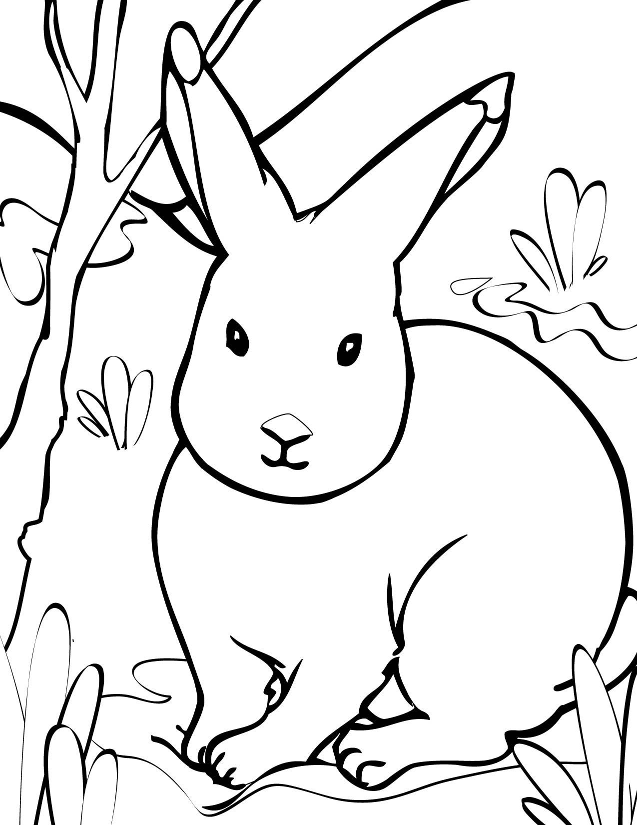 1275x1650 Arctic Hare Clipart Black And White