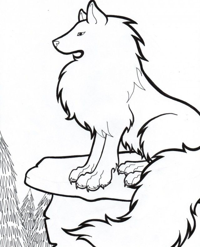 640x790 arctic wolf drawing clipart best arctic wolf coloring pages