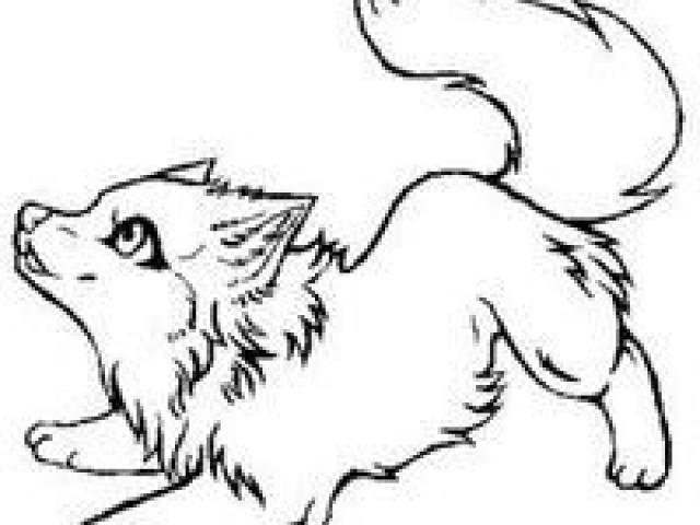 640x480 Free Arctic Wolf Clipart, Download Free Clip Art