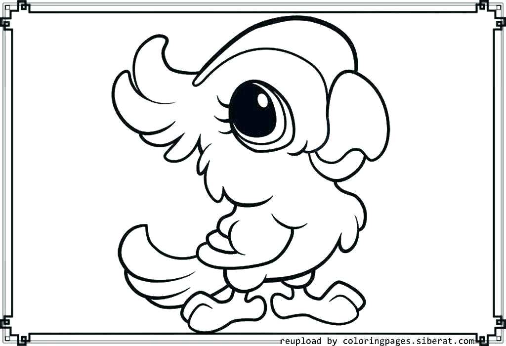 1024x700 arctic animal coloring pages arctic animals coloring pages best