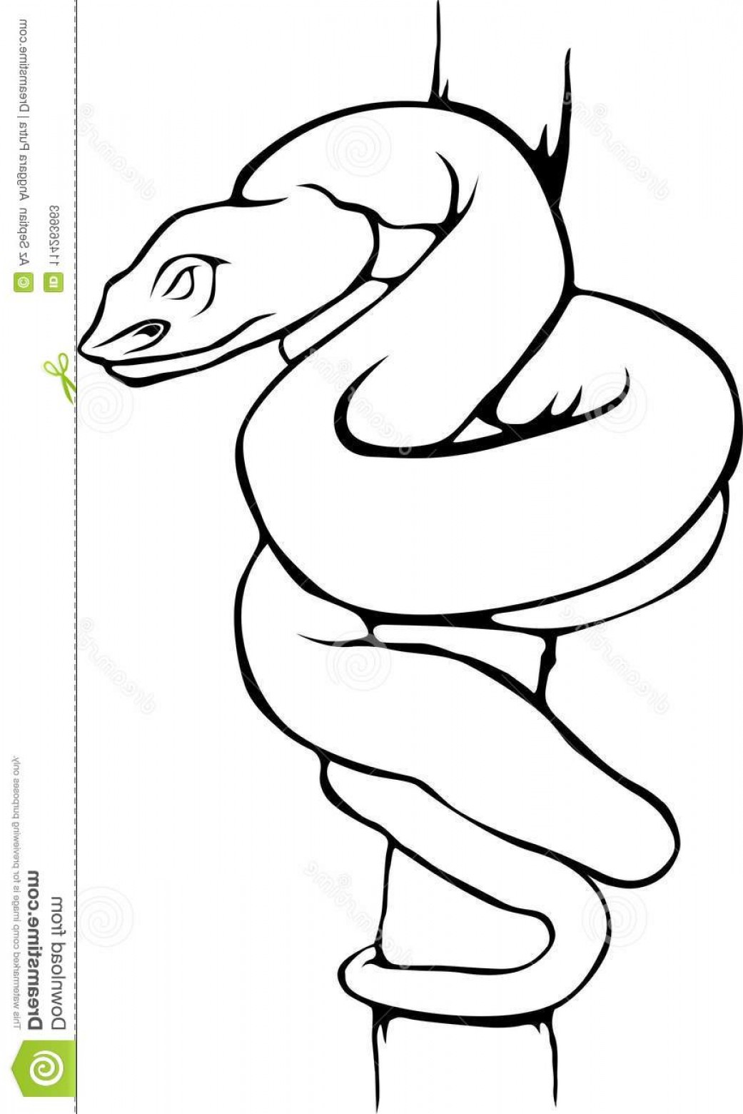 1041x1560 Vector Snake To Draw Soidergi
