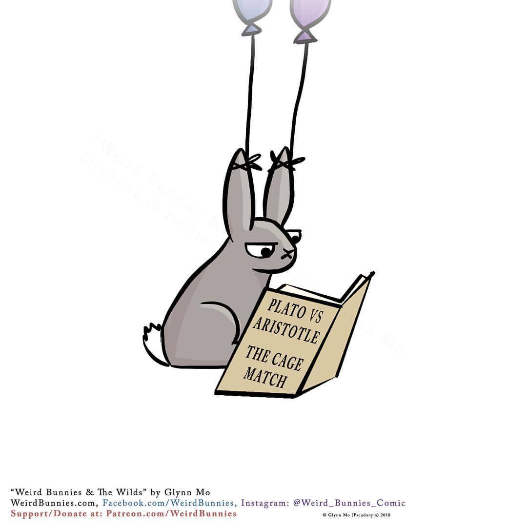 1080x1080 Weird Bunnies