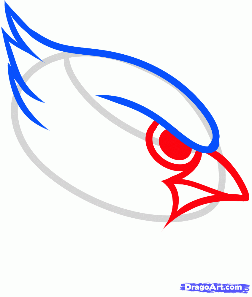 849x1000 draw the arizona cardinals, big red, step