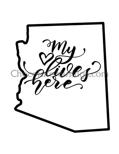 400x518 State Outline