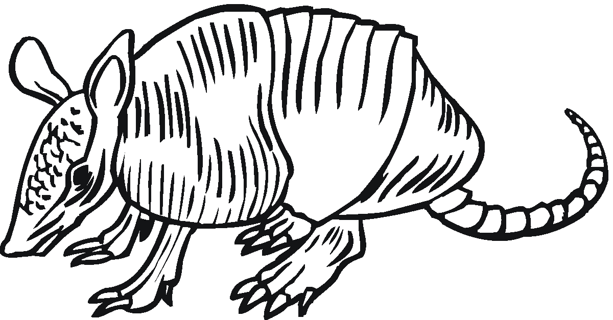 1200x627 Armadillo Coloring Page