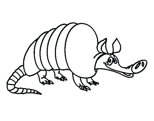 600x470 Armadillo Coloring