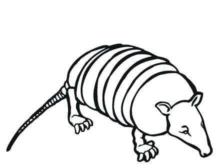 440x330 Armadillo Coloring